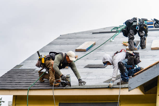 Professional Gutter Installation technician working in Albin, WY